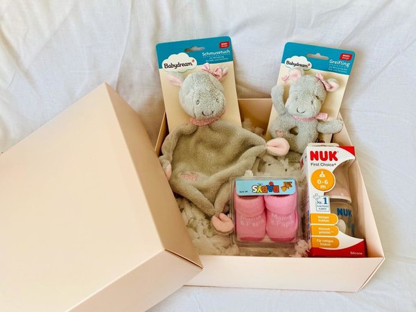 Geschenkbox "Baby-Nilpferd"